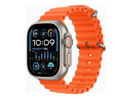 Smart Fitness Watch